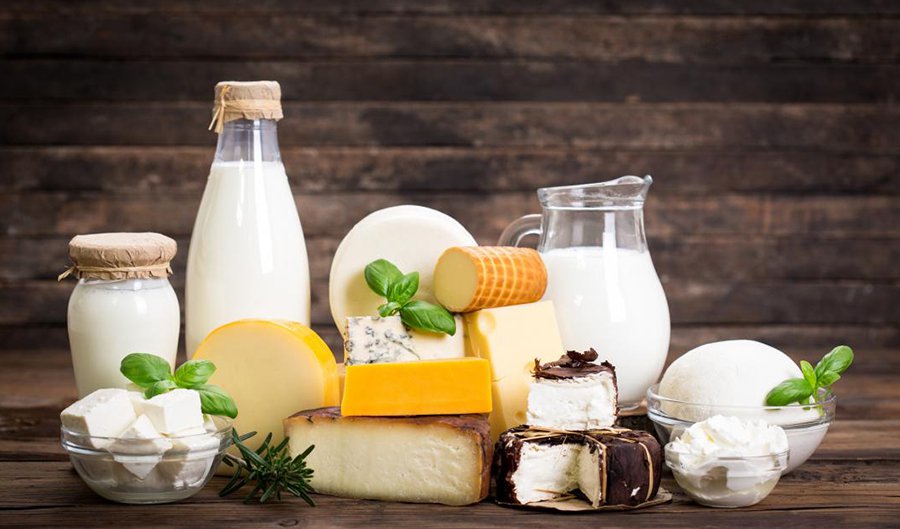 sữa tách béo, phô mai và sữa chua cung cấp rất nhiều protein lành mạnh